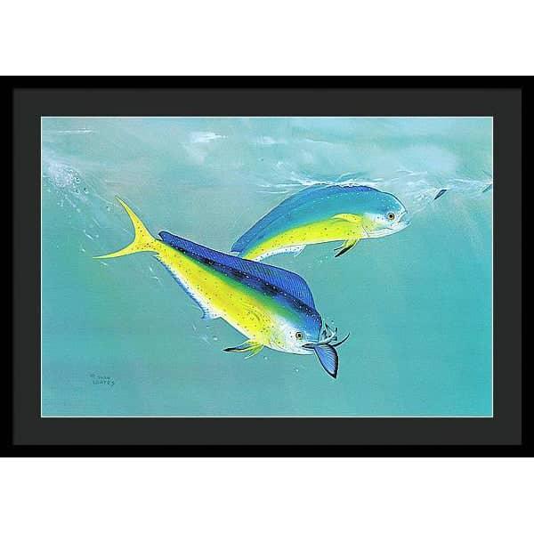 Dolphin - Framed Print | Artwork by Glen Loates