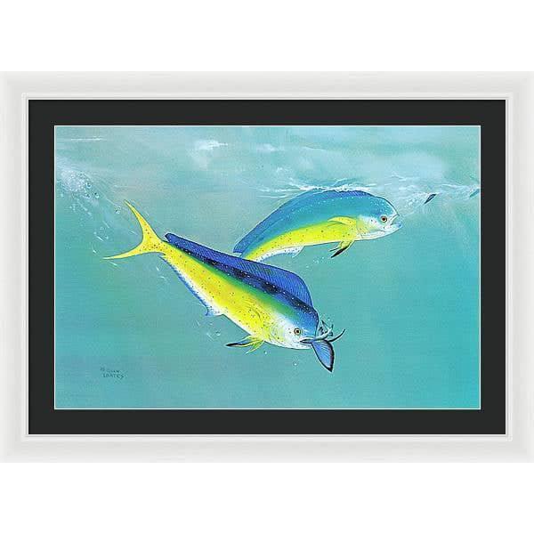 Dolphin - Framed Print | Artwork by Glen Loates