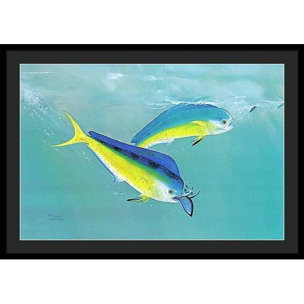 Dolphin - Framed Print | Artwork by Glen Loates