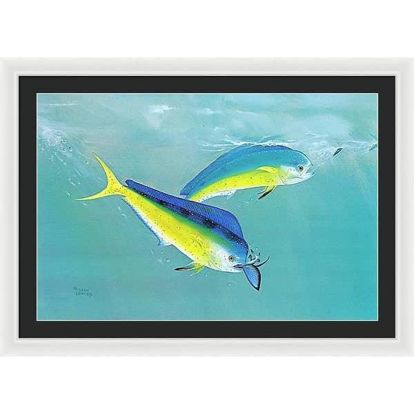 Dolphin - Framed Print | Artwork by Glen Loates