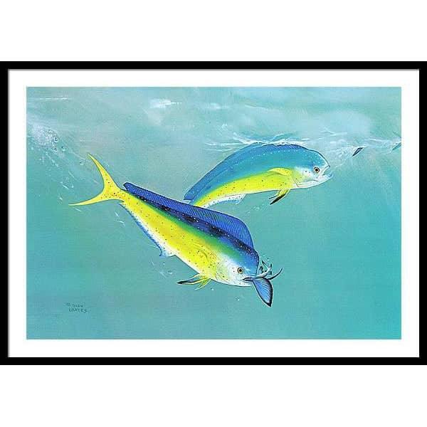 Dolphin - Framed Print | Artwork by Glen Loates