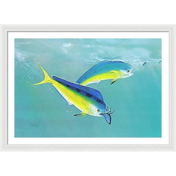 Dolphin - Framed Print | Artwork by Glen Loates