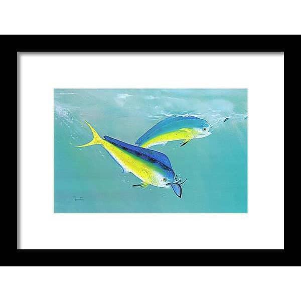 Dolphin - Framed Print | Artwork by Glen Loates