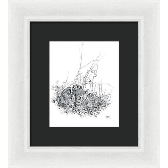 Eastern Cottontail Bunnies - Framed Print | Artwork by Glen Loates