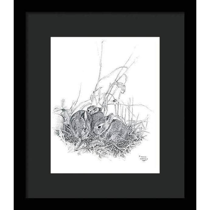 Eastern Cottontail Bunnies - Framed Print | Artwork by Glen Loates
