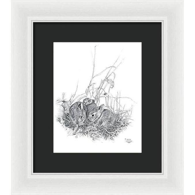 Eastern Cottontail Bunnies - Framed Print | Artwork by Glen Loates