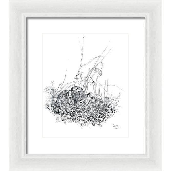 Eastern Cottontail Bunnies - Framed Print | Artwork by Glen Loates