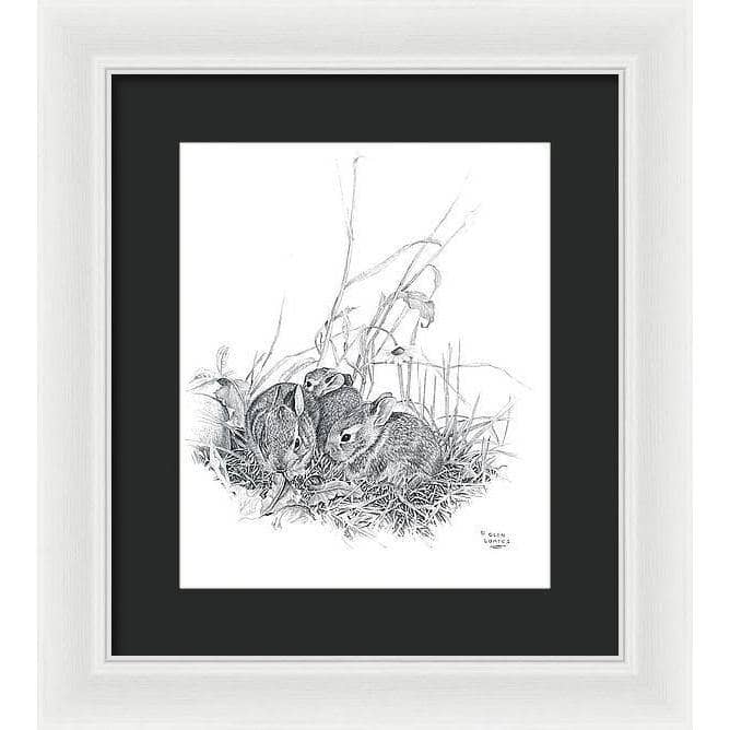 Eastern Cottontail Bunnies - Framed Print | Artwork by Glen Loates