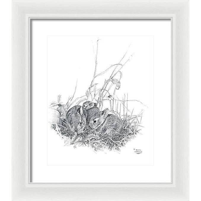 Eastern Cottontail Bunnies - Framed Print | Artwork by Glen Loates