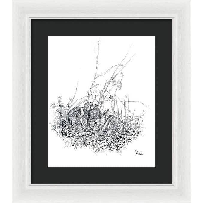 Eastern Cottontail Bunnies - Framed Print | Artwork by Glen Loates