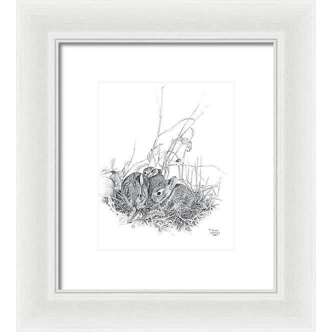 Eastern Cottontail Bunnies - Framed Print | Artwork by Glen Loates