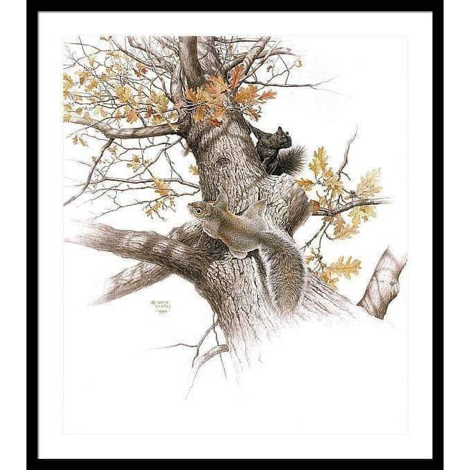 Eastern Gray Squirrels - Framed Print | Artwork by Glen Loates
