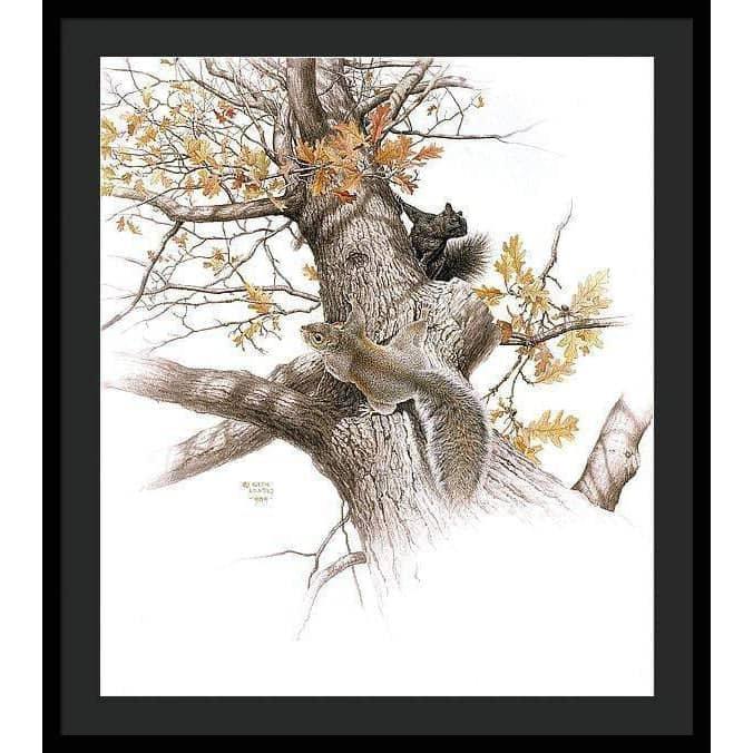 Eastern Gray Squirrels - Framed Print | Artwork by Glen Loates