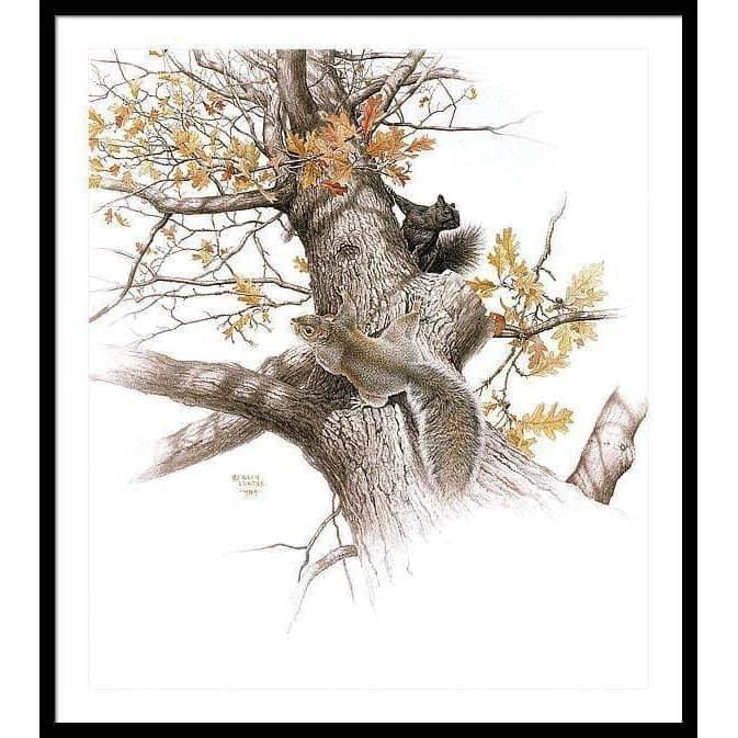 Eastern Gray Squirrels - Framed Print | Artwork by Glen Loates