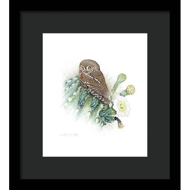 Elf Owl - Framed Print | Artwork by Glen Loates