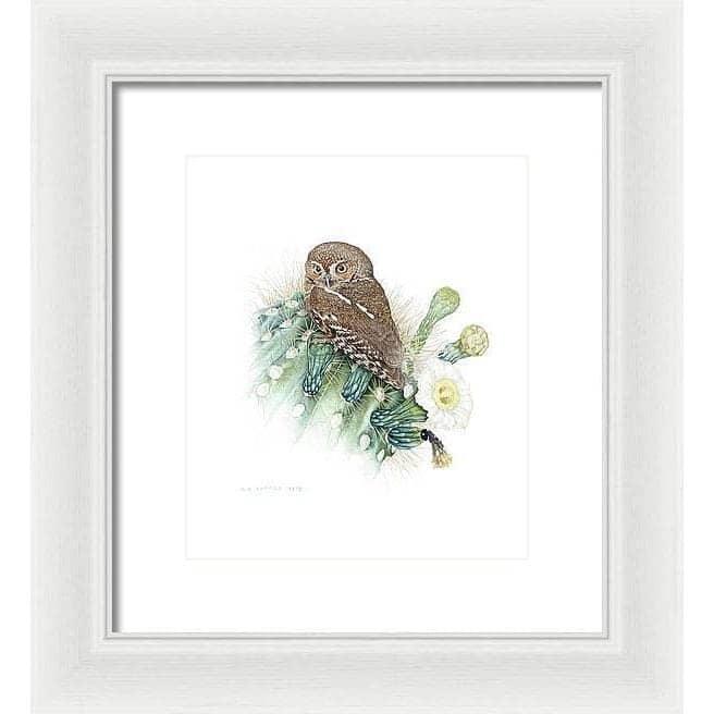 Elf Owl - Framed Print | Artwork by Glen Loates
