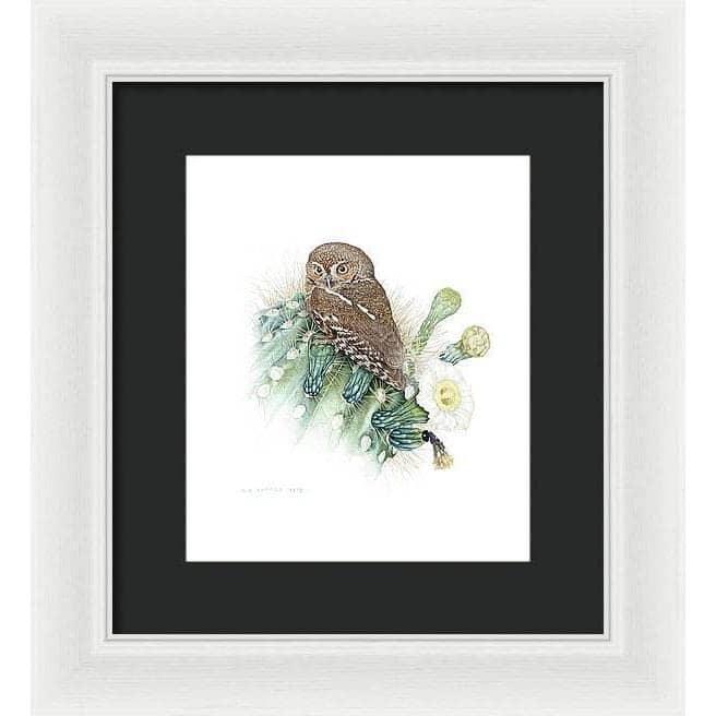 Elf Owl - Framed Print | Artwork by Glen Loates