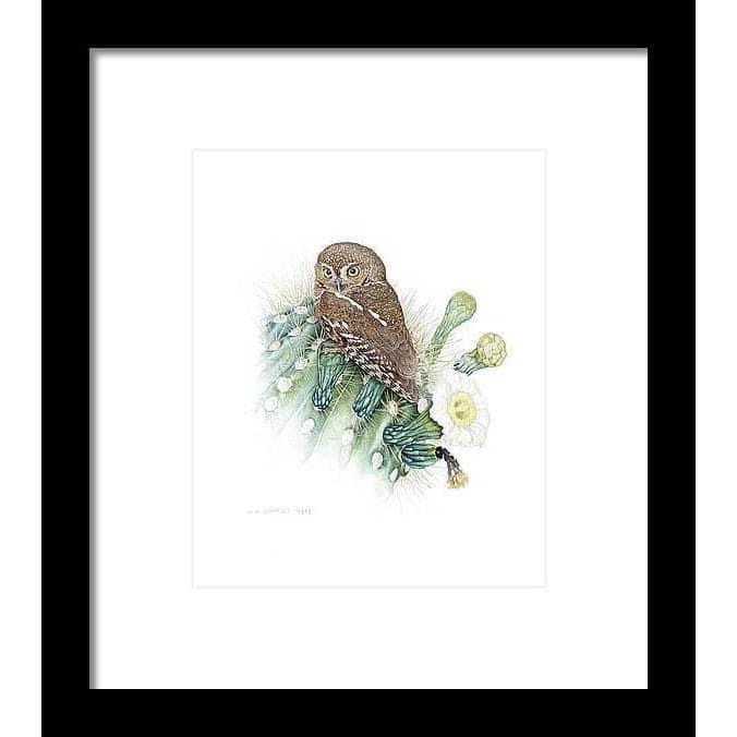 Elf Owl - Framed Print | Artwork by Glen Loates