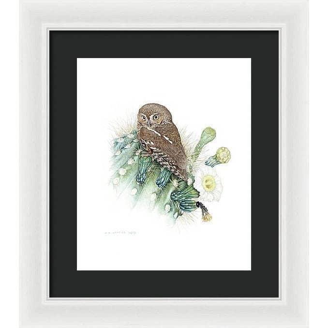 Elf Owl - Framed Print | Artwork by Glen Loates