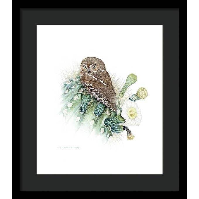 Elf Owl - Framed Print | Artwork by Glen Loates