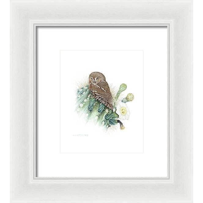 Elf Owl - Framed Print | Artwork by Glen Loates