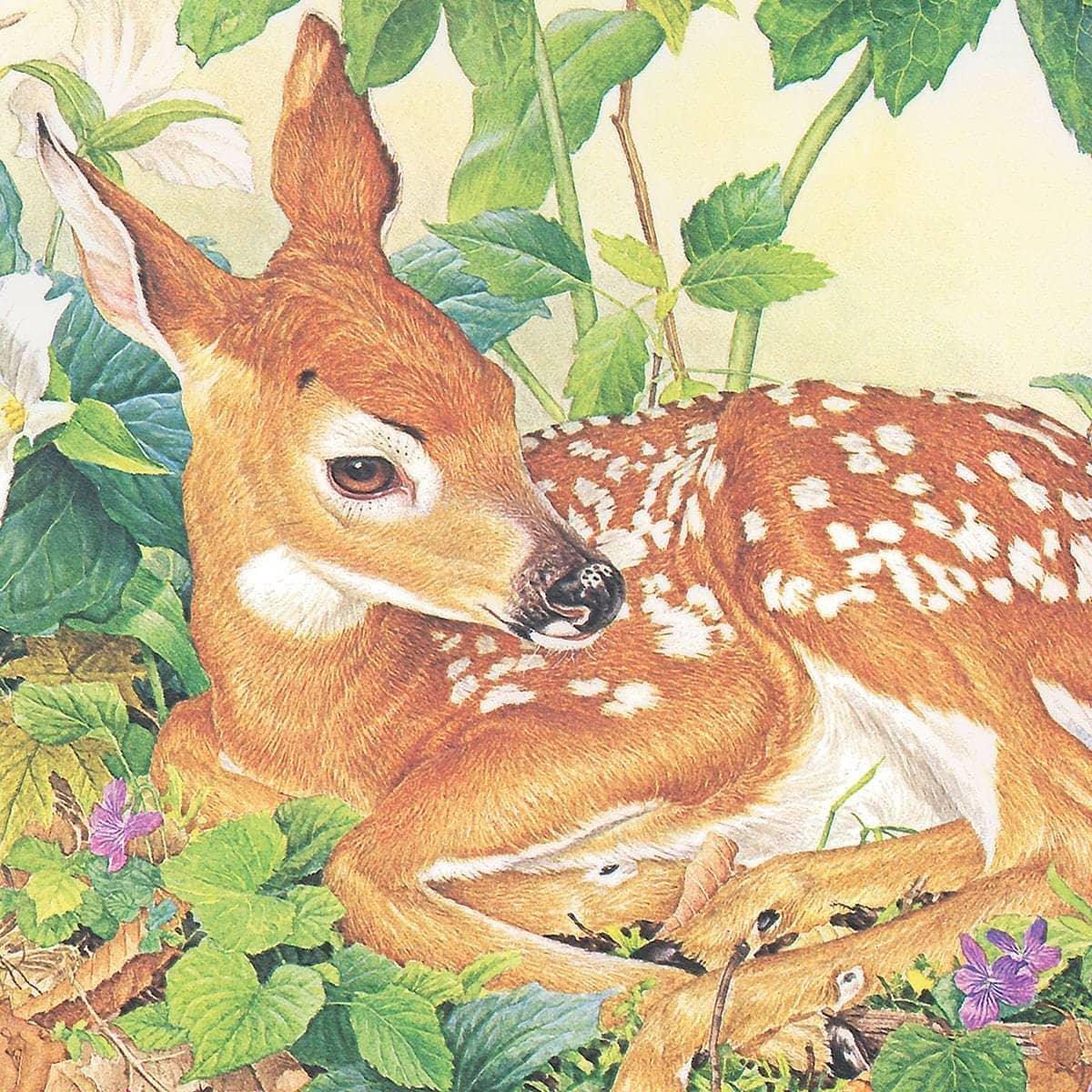 Fawn - Canvas Print | Artwork by Glen Loates