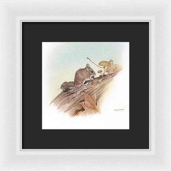Field Mouse - Framed Print | Artwork by Glen Loates
