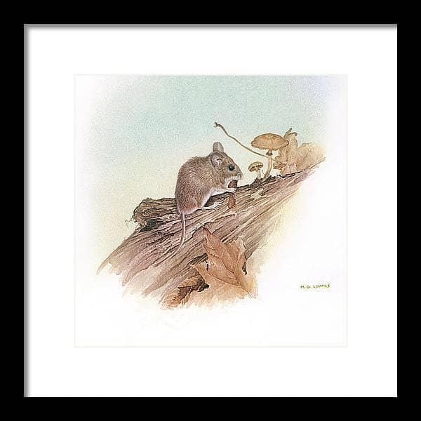 Field Mouse - Framed Print | Artwork by Glen Loates