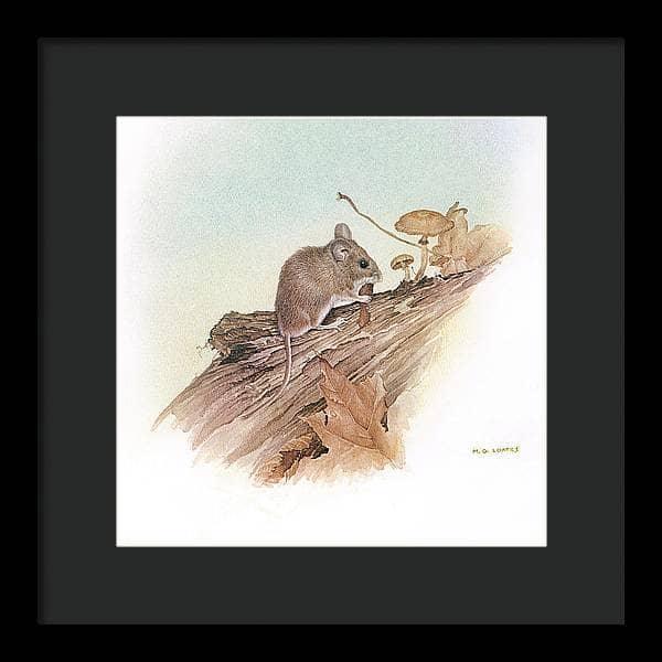 Field Mouse - Framed Print | Artwork by Glen Loates