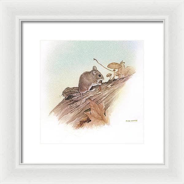 Field Mouse - Framed Print | Artwork by Glen Loates