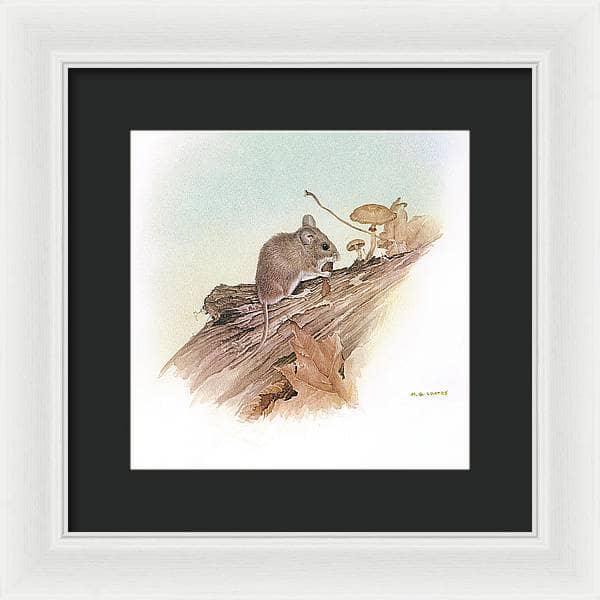Field Mouse - Framed Print | Artwork by Glen Loates