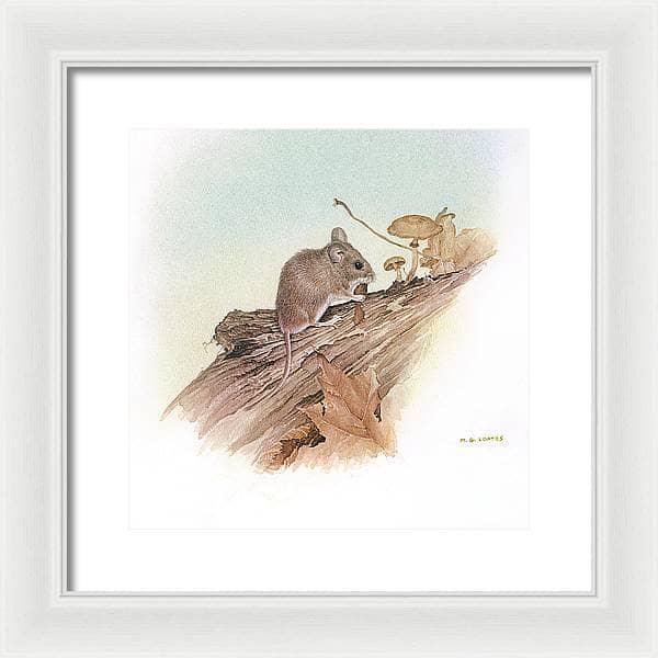 Field Mouse - Framed Print | Artwork by Glen Loates