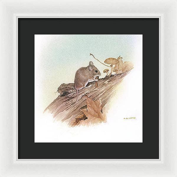 Field Mouse - Framed Print | Artwork by Glen Loates