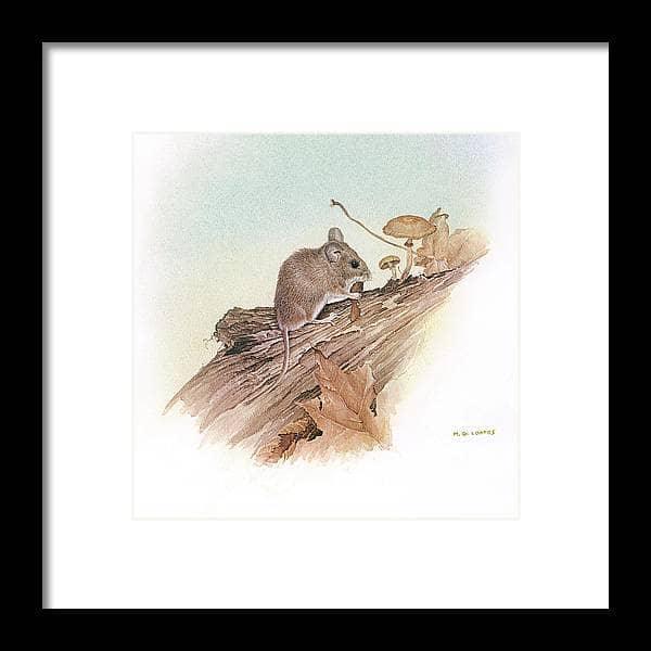 Field Mouse - Framed Print | Artwork by Glen Loates