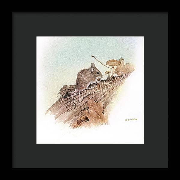Field Mouse - Framed Print | Artwork by Glen Loates