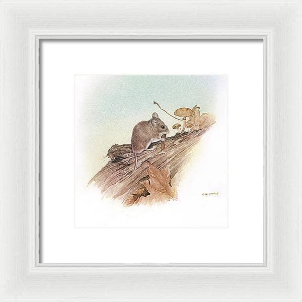 Field Mouse - Framed Print | Artwork by Glen Loates