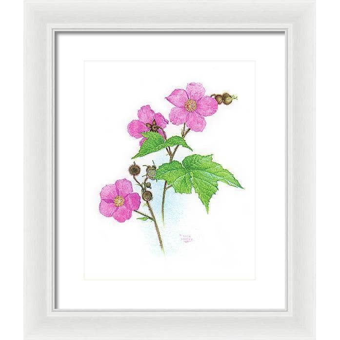 Flowering Raspberry - Framed Print | Artwork by Glen Loates