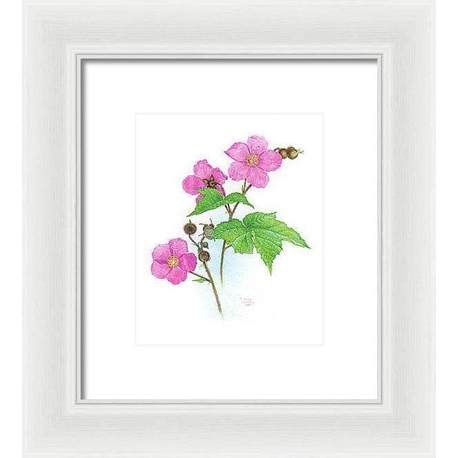 Flowering Raspberry - Framed Print | Artwork by Glen Loates