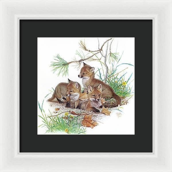 Fox Kits - Framed Print | Artwork by Glen Loates