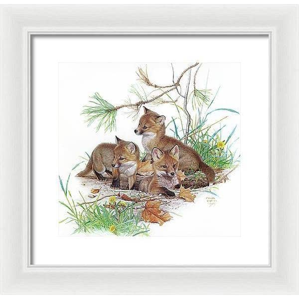 Fox Kits - Framed Print | Artwork by Glen Loates