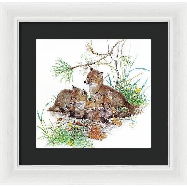 Fox Kits - Framed Print | Artwork by Glen Loates