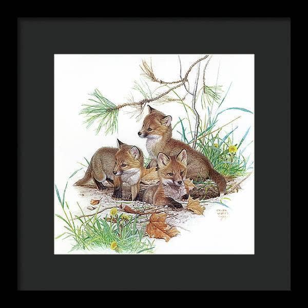 Fox Kits - Framed Print | Artwork by Glen Loates