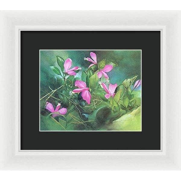 Fringed Polygala - Framed Print | Artwork by Glen Loates