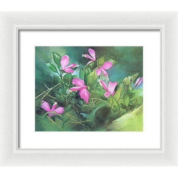 Fringed Polygala - Framed Print | Artwork by Glen Loates
