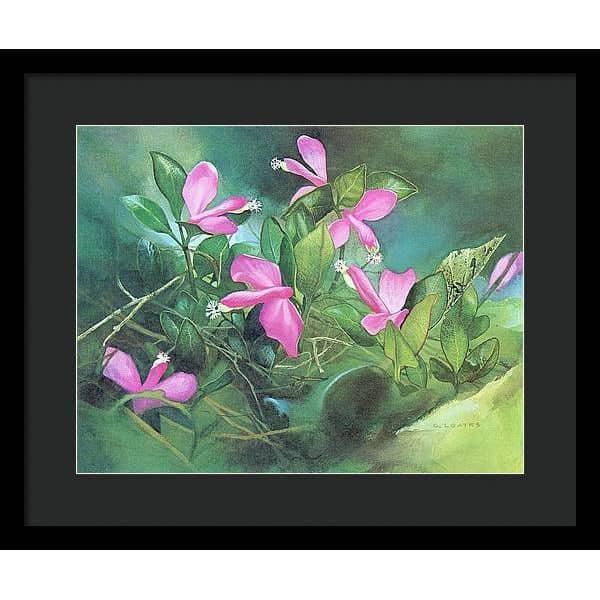 Fringed Polygala - Framed Print | Artwork by Glen Loates