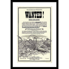 Affiche encadrée