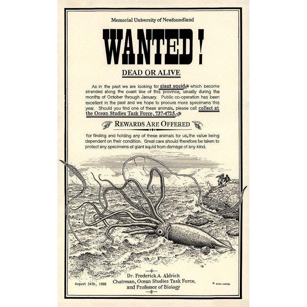 Giant Squid Wanted Poster | Artwork by Glen Loates