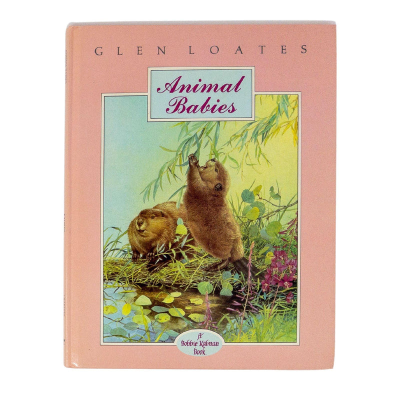 Glen Loates Animal Babies | Artwork by Glen Loates
