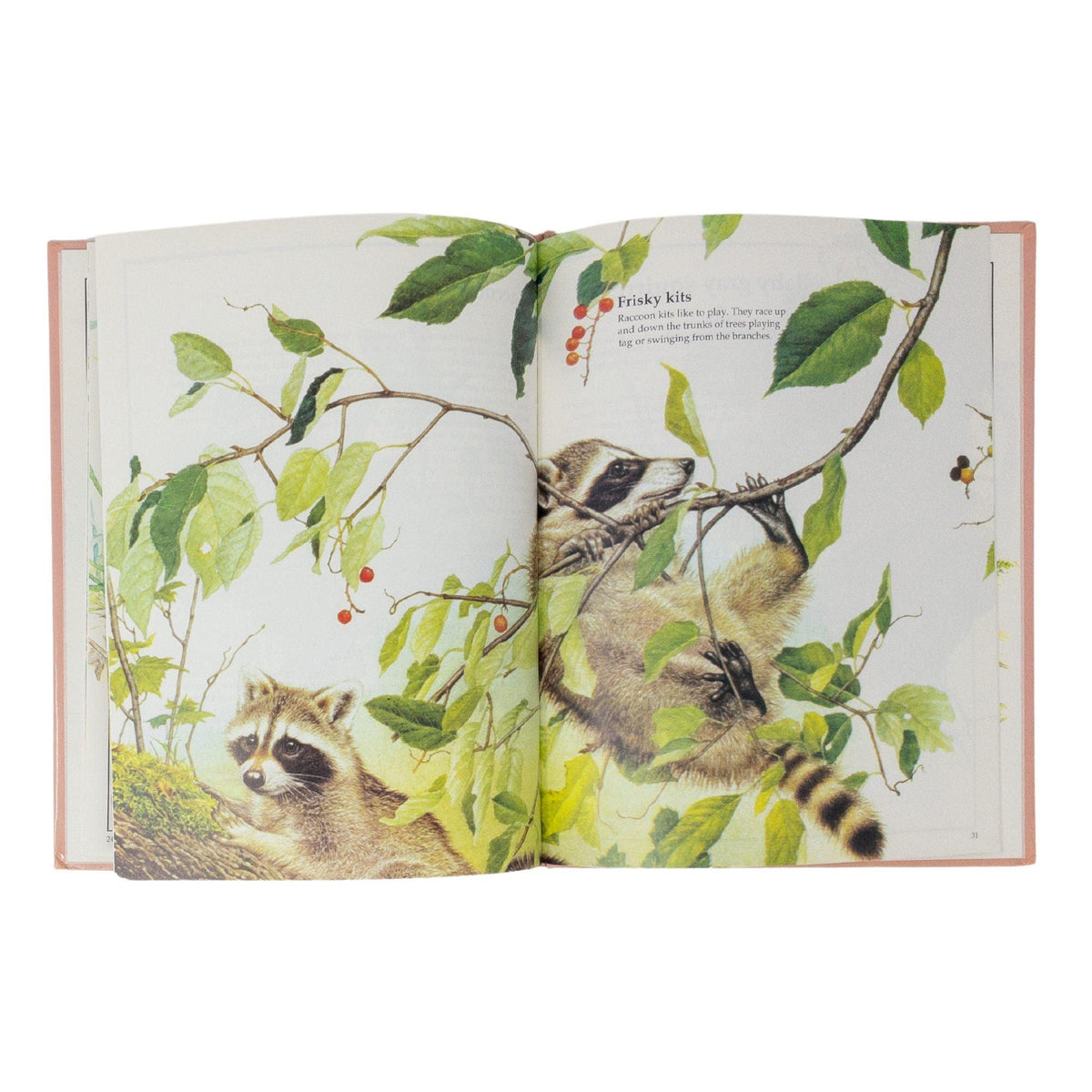 Glen Loates Animal Babies | Artwork by Glen Loates