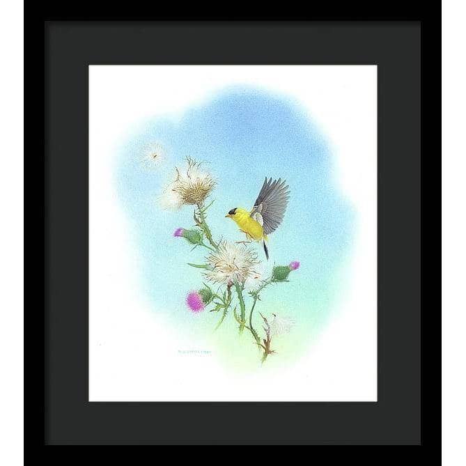 Goldfinch - Framed Print | Artwork by Glen Loates
